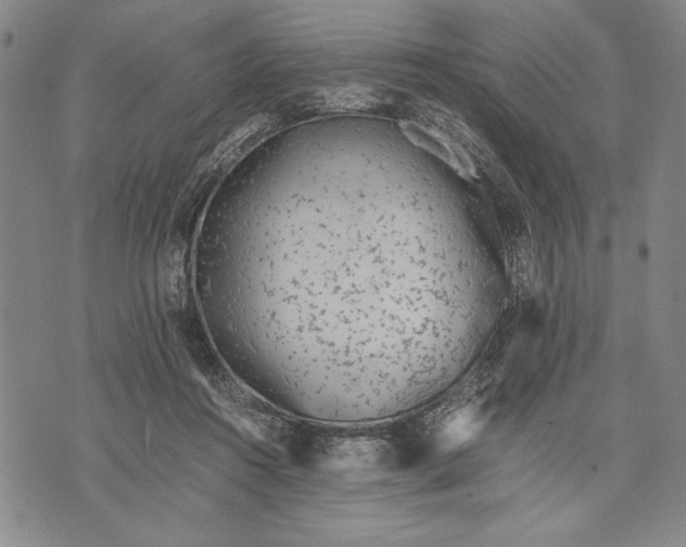 X0000071810360200607141616