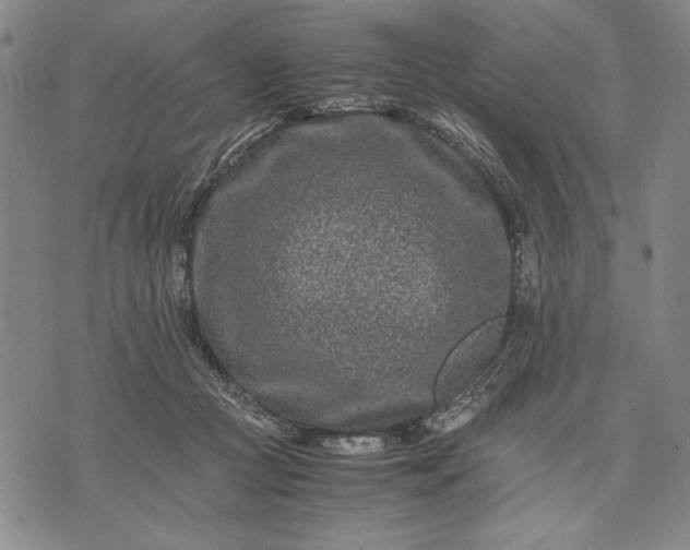 X0000071810361200607141616