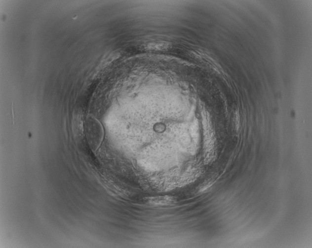 X0000071810363200607141616