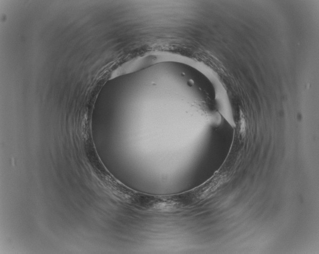 X0000071810364200607141616