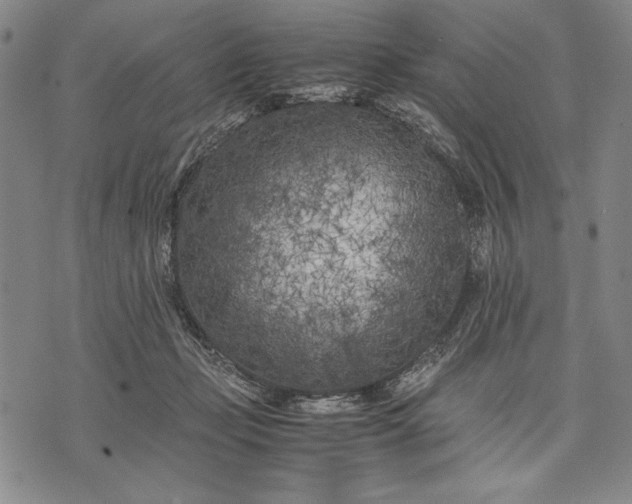 X0000071810365200607141616