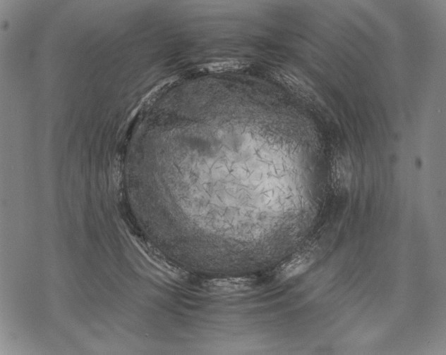 X0000071810367200607141616