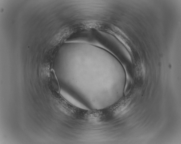 X0000071810368200607141616