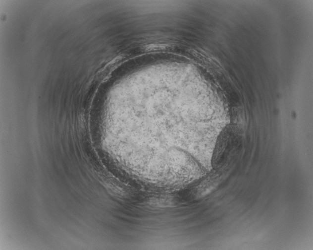 X0000071810369200607141616