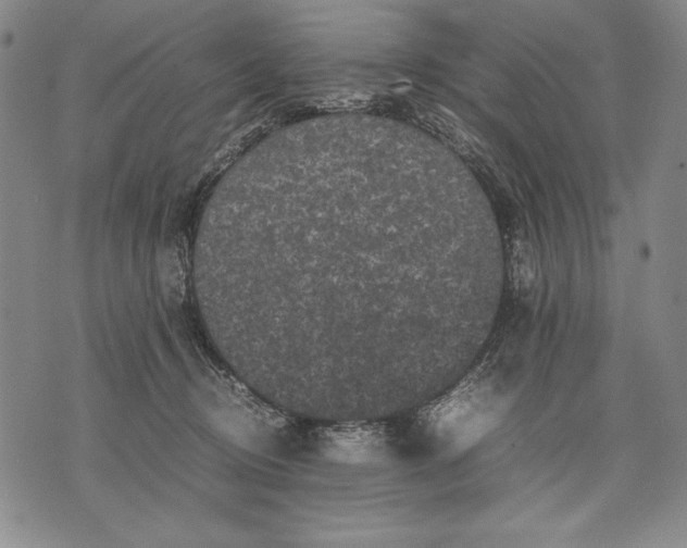 X0000071810370200607141616