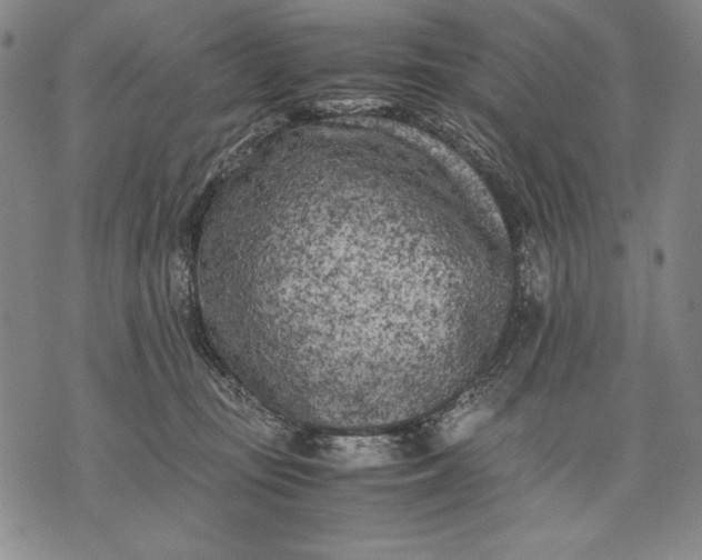 X0000071810371200607141616