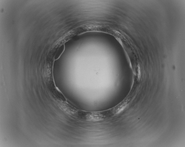 X0000071810372200607141616