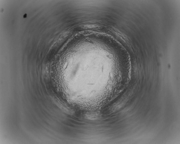 X0000071810373200607141616