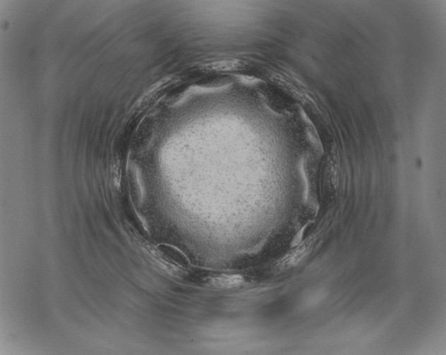 X0000071810374200607141616