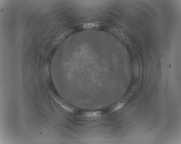 X0000071810375200607141616