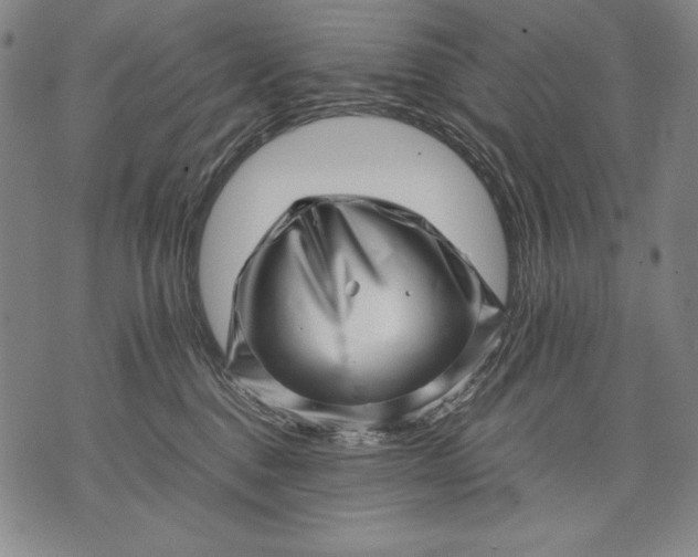 X0000071810376200607141616