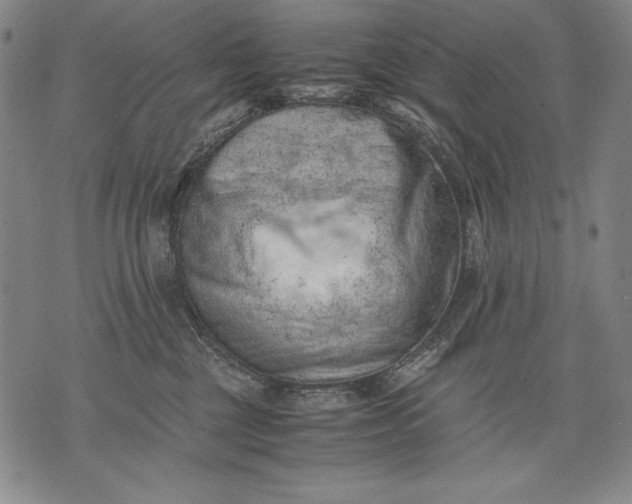 X0000071810377200607141616