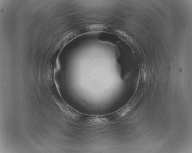 X0000071810379200607141616