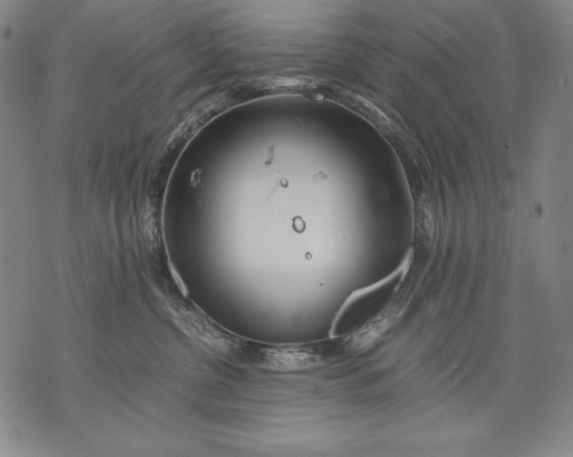 X0000071810380200607141616