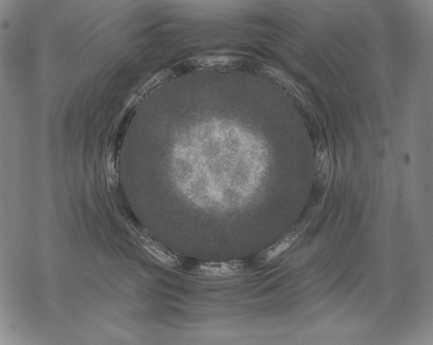 X0000071810381200607141616