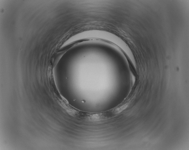 X0000071810382200607141616