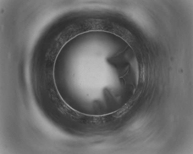 X0000071810383200607141616