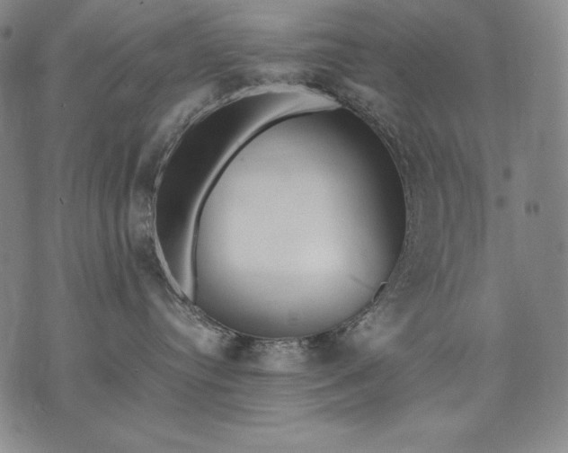 X0000071810384200607141616