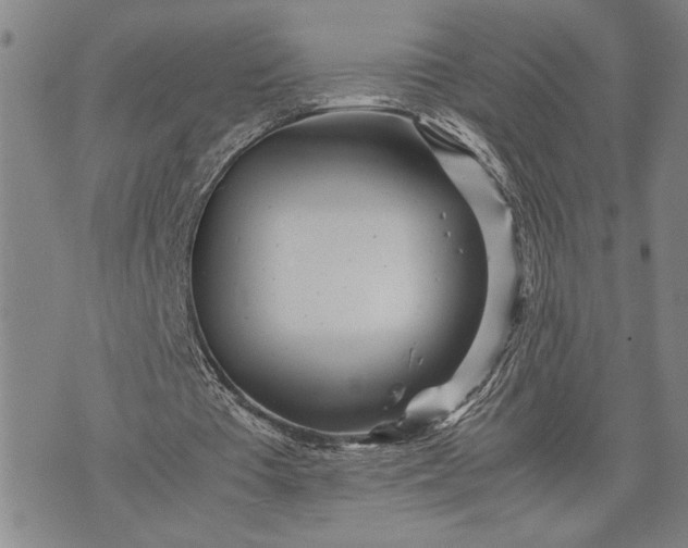 X0000071810385200607141616