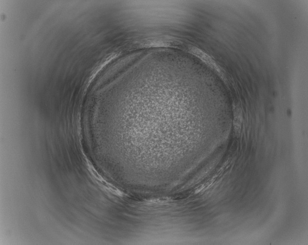 X0000071810386200607141616