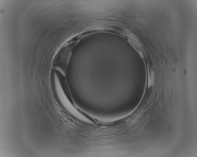 X0000071810387200607141616