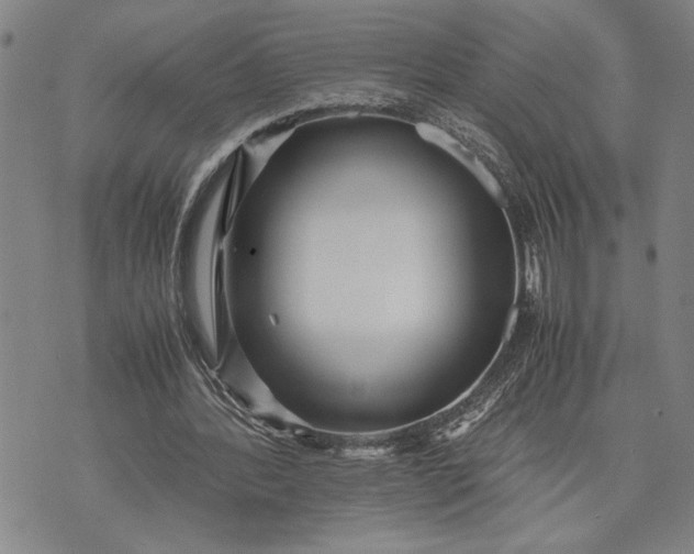 X0000071810388200607141616