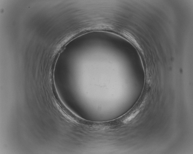 X0000071810389200607141616