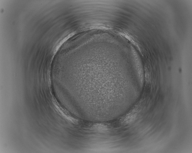 X0000071810390200607141616