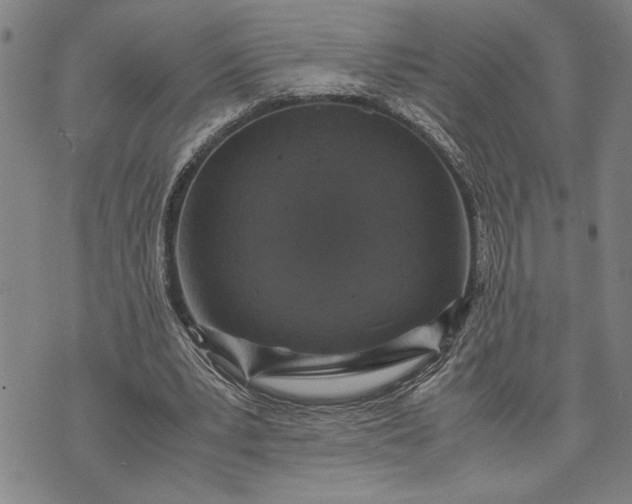 X0000071810391200607141616