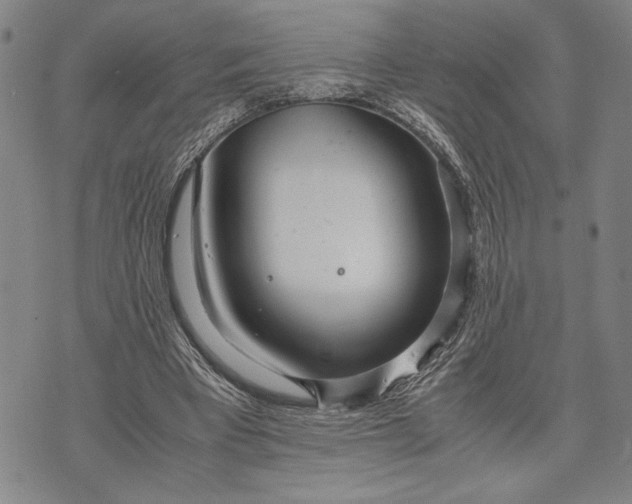 X0000071810393200607141615