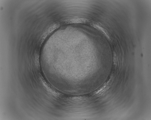 X0000071810394200607141615