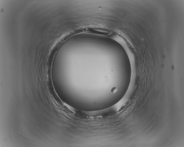 X0000071810395200607141615