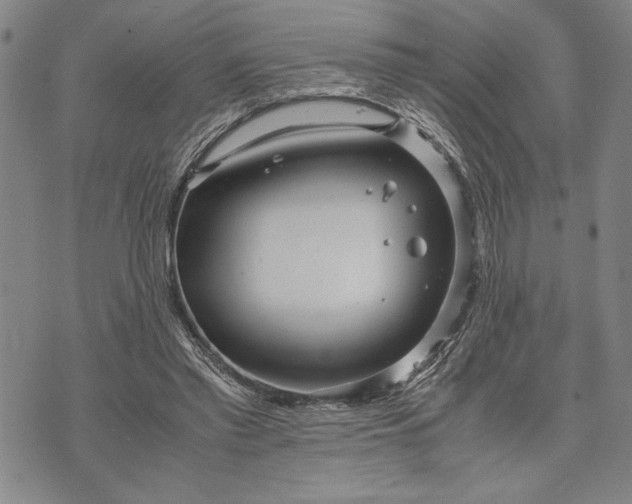 X0000071810397200607141615