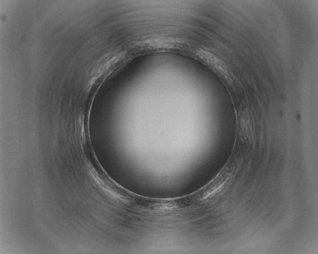 X0000071810398200607141615