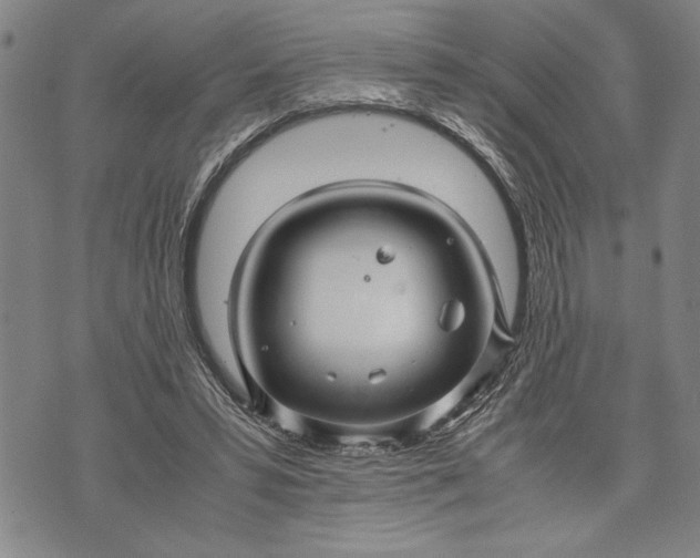 X0000071810399200607141615