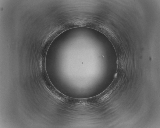 X0000071810404200607141615