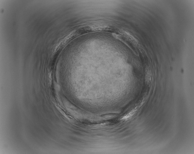 X0000071810405200607141615