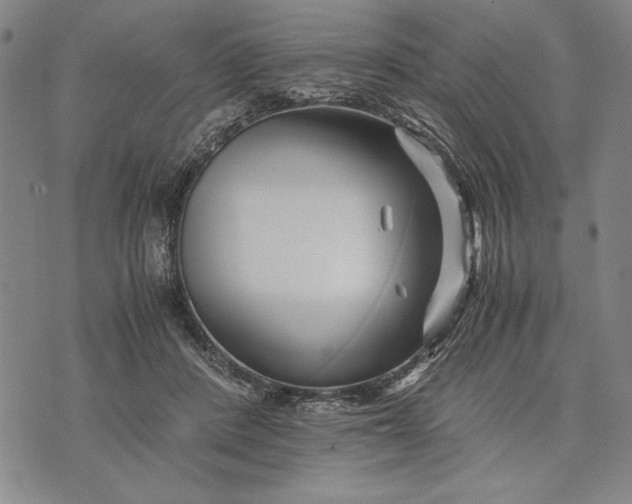 X0000071810408200607141615