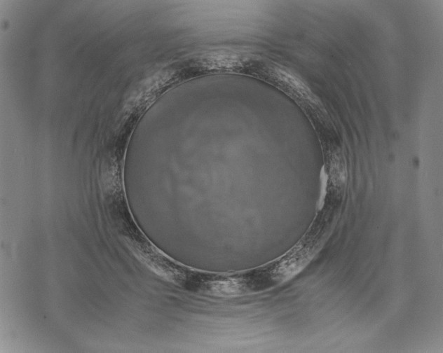 X0000071810411200607141615