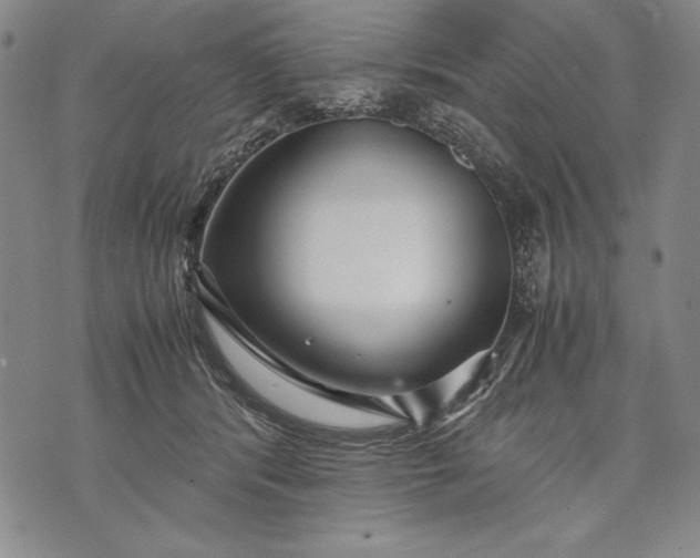 X0000071810416200607141615