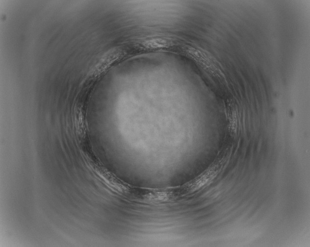 X0000071810418200607141615