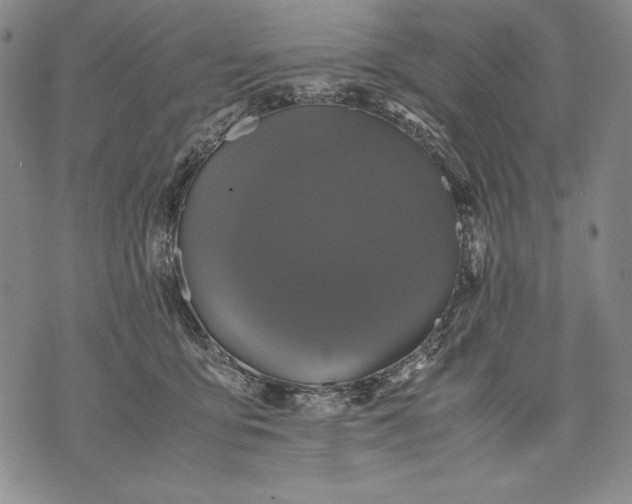 X0000071810419200607141615