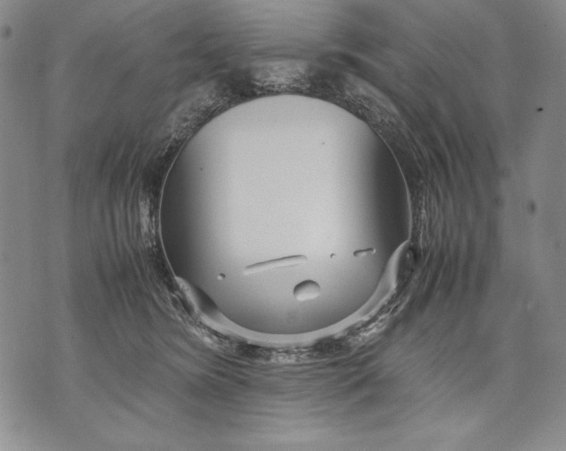 X0000071810420200607141615