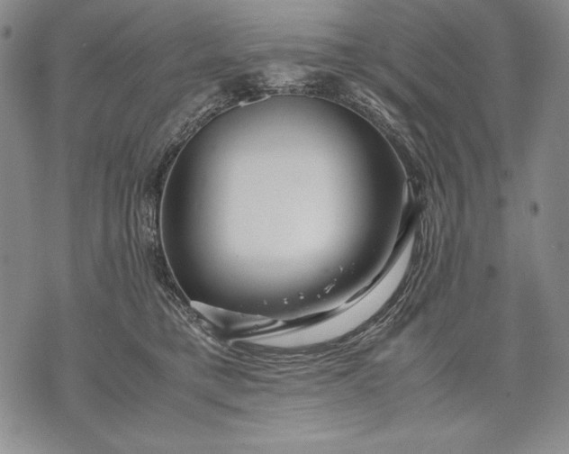 X0000071810421200607141615