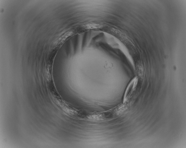 X0000071810422200607141615