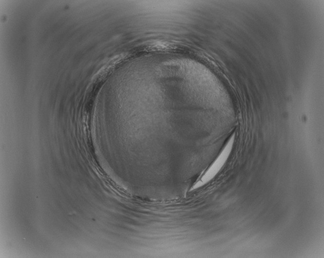 X0000071810423200607141615