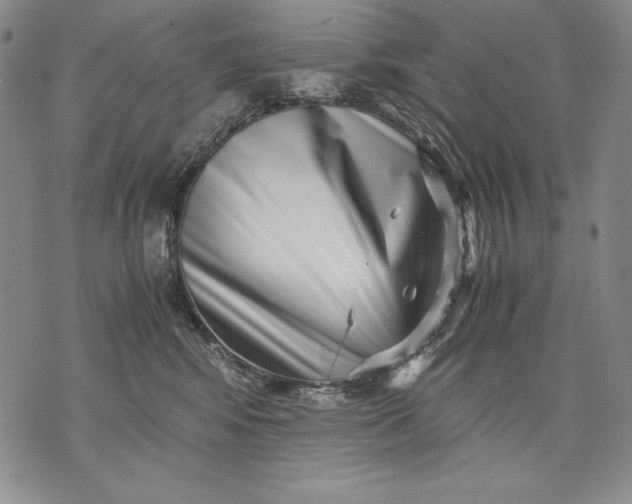 X0000071810424200607141615