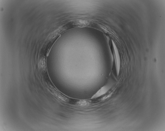 X0000071810425200607141615