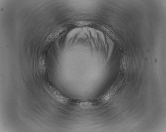 X0000071810426200607141615