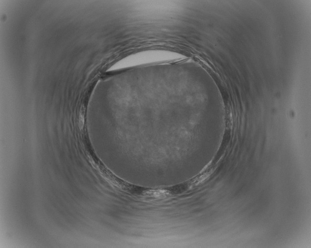 X0000071810427200607141615